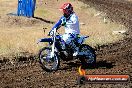 Champions Ride Day MotorX Broadford 23 11 2014 - SH8_0565