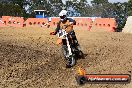 Champions Ride Day MotorX Broadford 25 01 2015 - DSC_0275