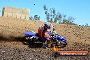 Champions Ride Day MotorX Broadford 25 01 2015 - DSC_2433