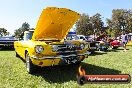 All FORD day Geelong VIC 15 02 2015 - Geelong_All_Ford_Day_0160