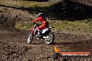 Champions Ride Day MotorX Broadford 22 03 2015 - CR6_2035