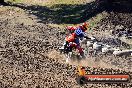 Champions Ride Day MotorX Broadford 22 03 2015 - CR6_2444