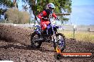 Champions Ride Day MotoX Wonthaggi VIC 12 04 2015 - CR7_8573